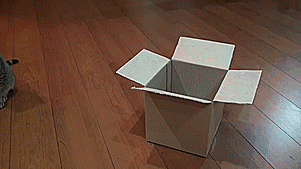 This now is my box!