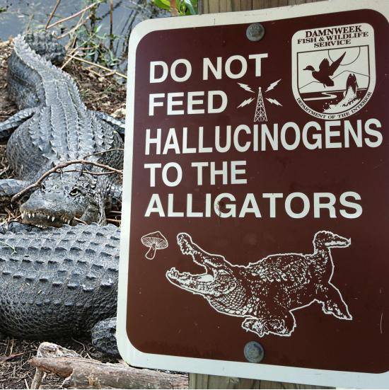 Some signs exist because they’re practical. Others have a hell of a story behind them