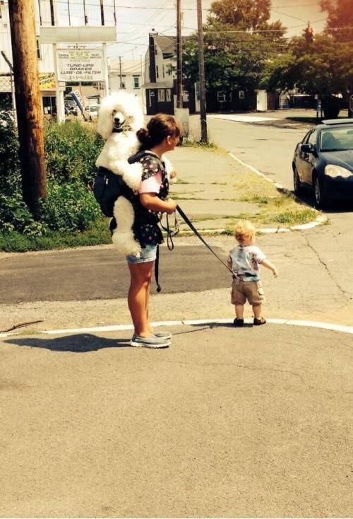 WANTED: New Sitter