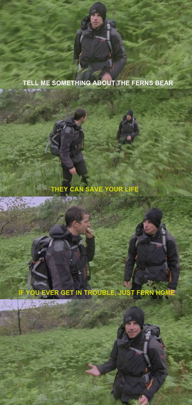 Bear Grylls on ferns