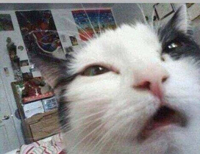 When You accidentally open the front cam.