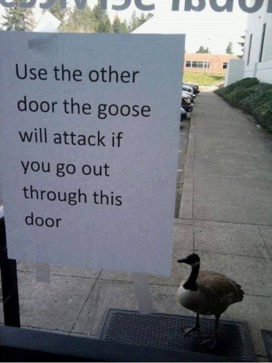 optional boss fight