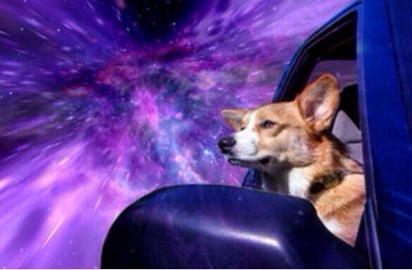 When you’re getting driven home after getting stupid drunk