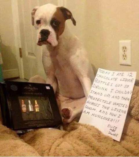 The face of regret