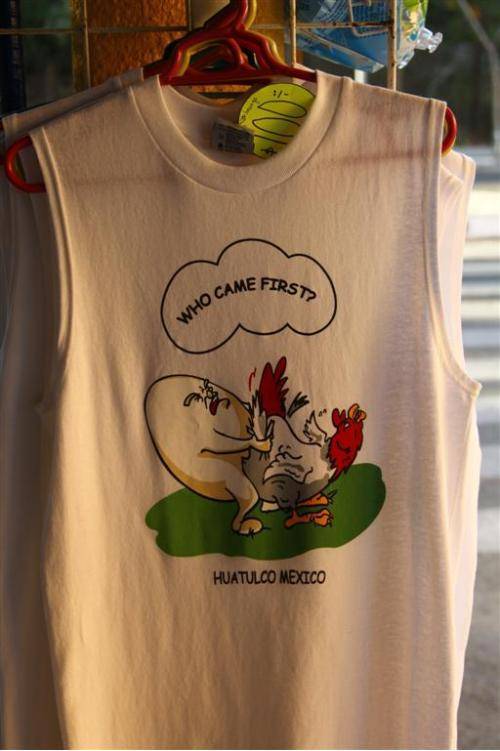 Possibly THE worst tourist t shirt EVER