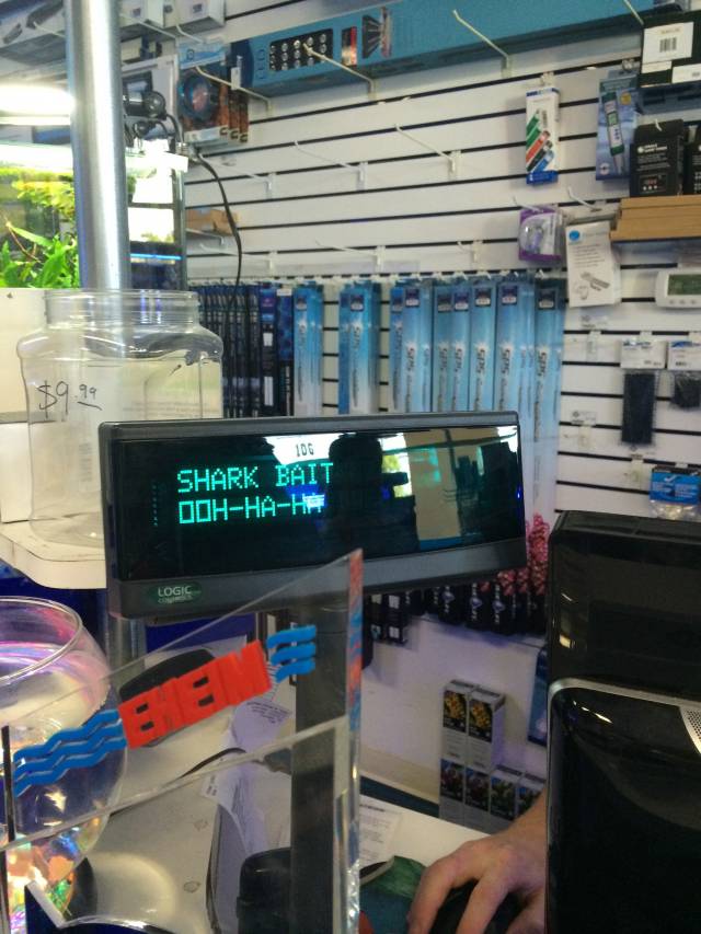 Cash register at the local aquarium store.