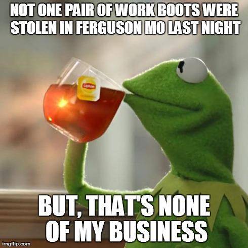 Kermit Notices a Trend - Missouri Riots