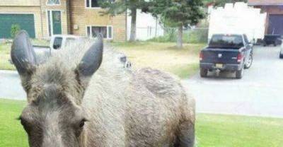 Some Unusual Sights That Are Top the List (Part 2)