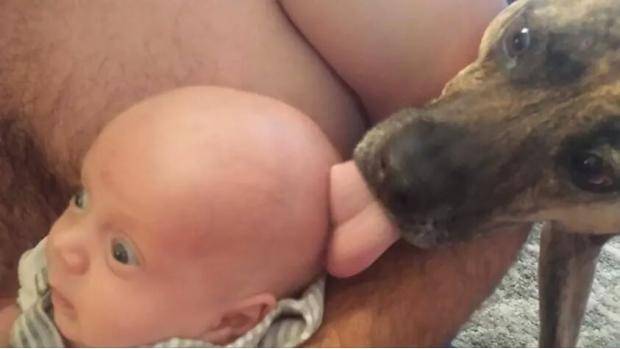 The look on his face. Priceless.