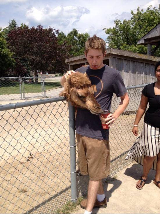 This picture makes it look like I'm holding a decapitated camel head