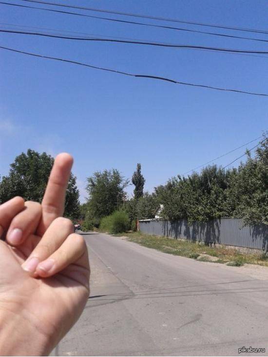 Well f*ck you too, tree!