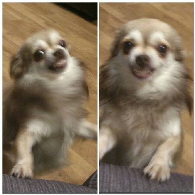 He kept looking at me like this. I'm concerned.