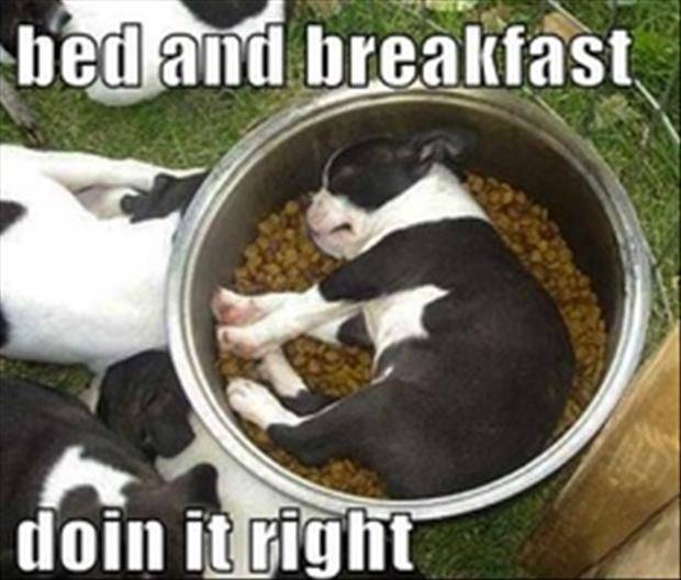 Bed and Breakfast