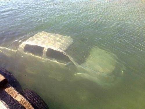 Well, that's a strange looking fish