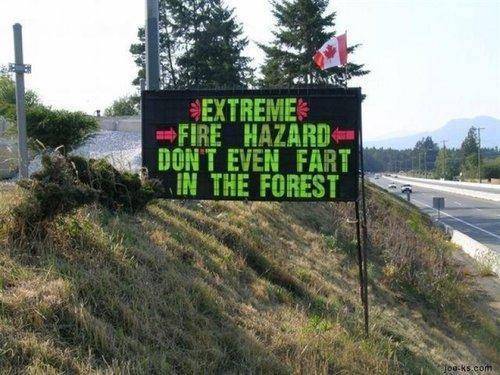 Wish I seen this before eating that burrito...