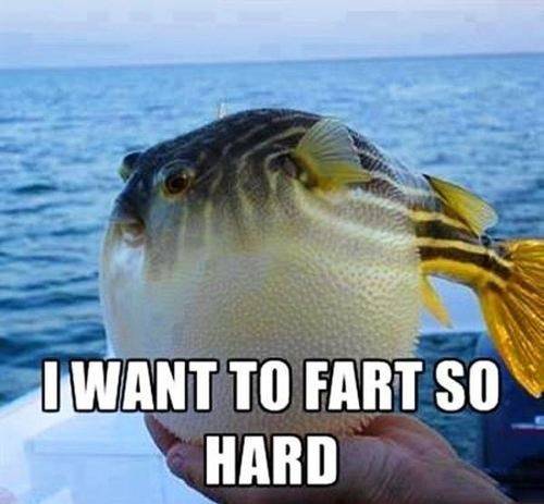 Every guy on a first date