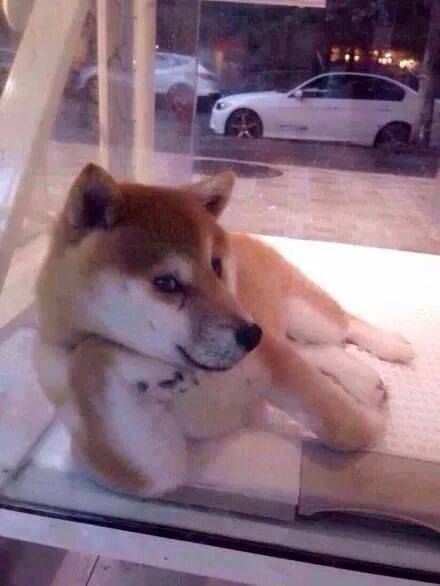 Hey girl is it just me or are you wow