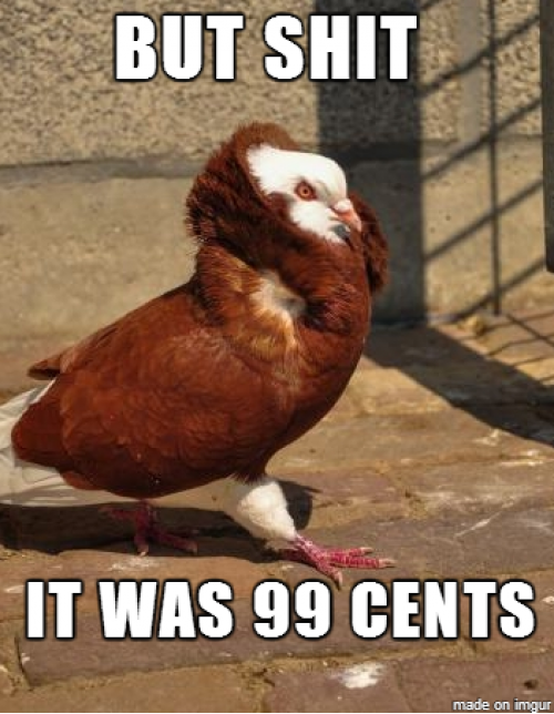 Macklemore Pidgeon