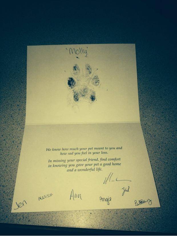 Recently had to put my dog to sleep. Got this in the mail a few days later. Simple gesture from the folks at the animal hospital really made my day.