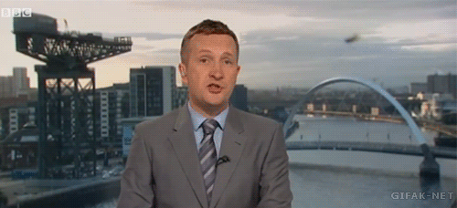 Spider eats prey during newscast