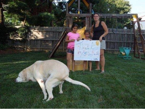 Dog getting ready to poop