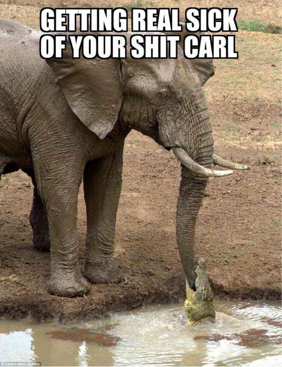 Carl just doesn’t learn.