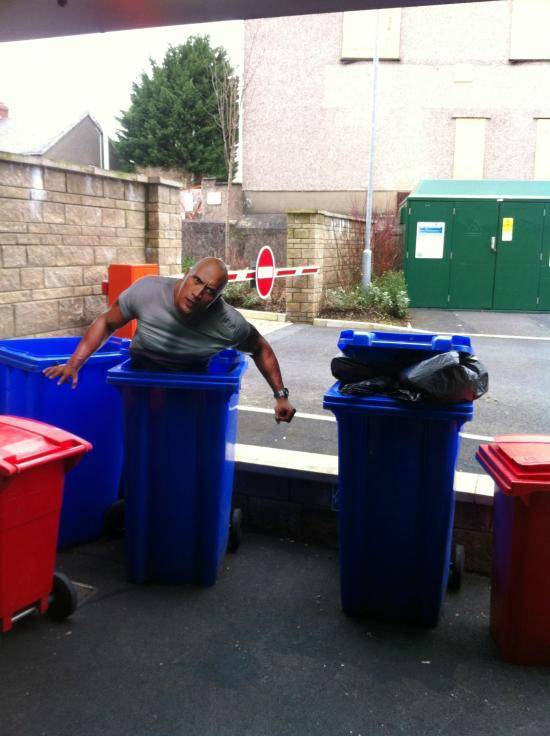 This f*cker scared me every time I went to put the bins out for a solid week.