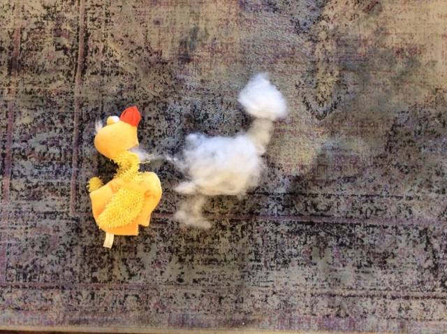 Incredible picture of a soul leaving the body.
