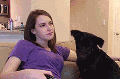 Blowing on a dog, what could possibly go wrong?
