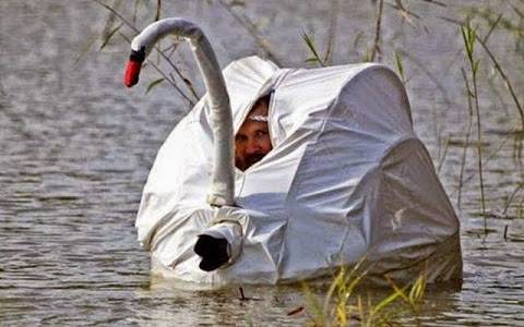 camouflage 