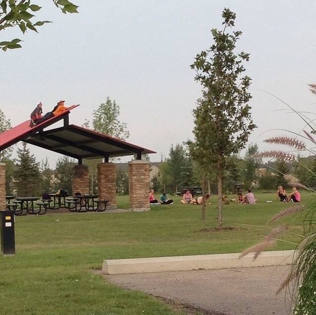 Kids these days..... Watching a yoga class.