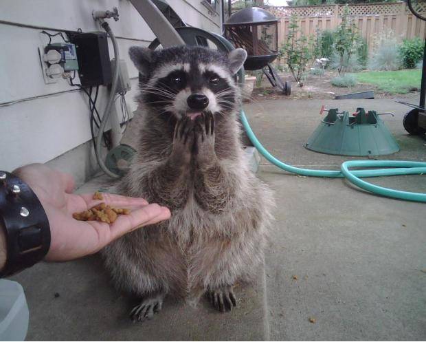 For me??