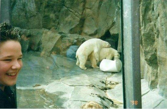 yup just some procreation going on
