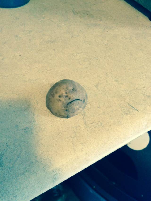 Cut this potato and realized he wasn't happy about it.
