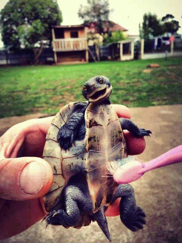 Please Dont tickle me ... Please Dont do it...