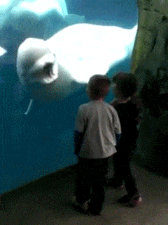 You came to the wrong neighborhood mother fu..