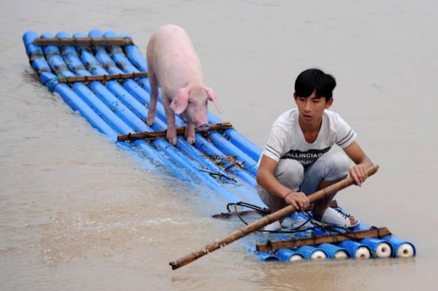 Life of Pi, Chinese edition