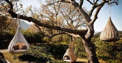 Cool Backyard Hangout Spots That Will Make You Jealous