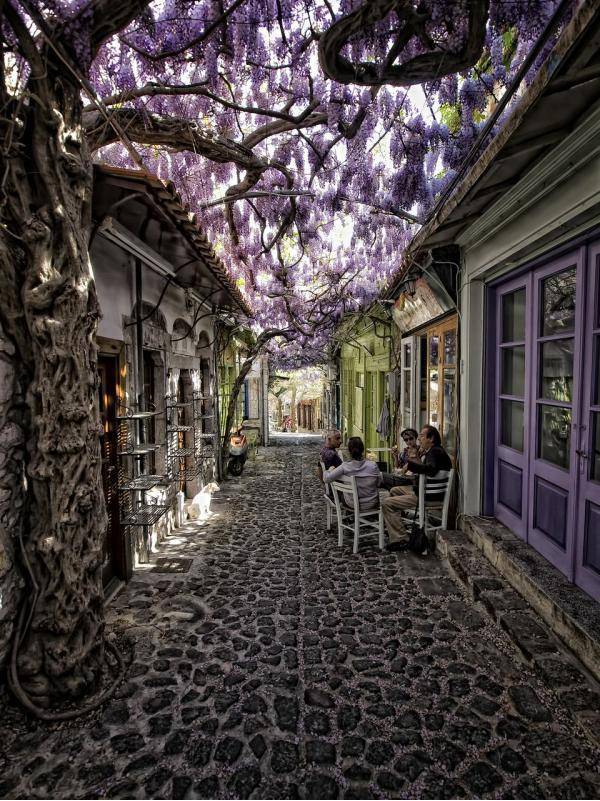This street also has plenty of shade
