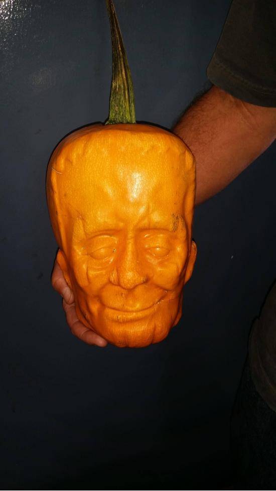 What happens when you grow a pumkin inside a plastic mold.