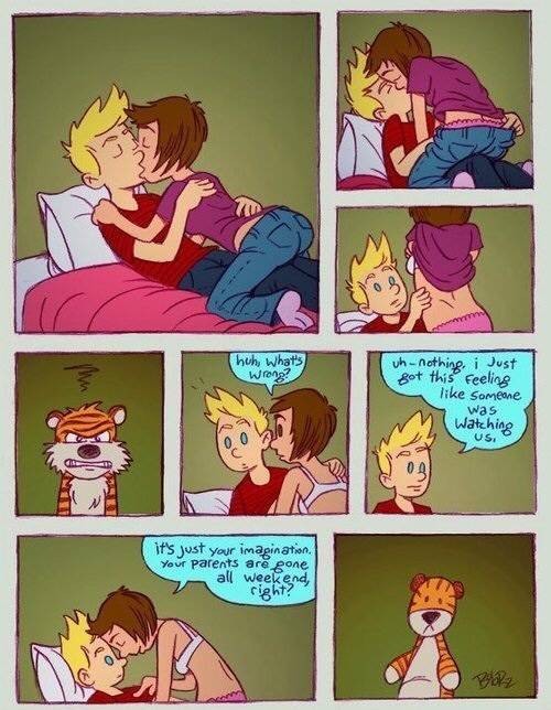 Calvin & Hobbes
