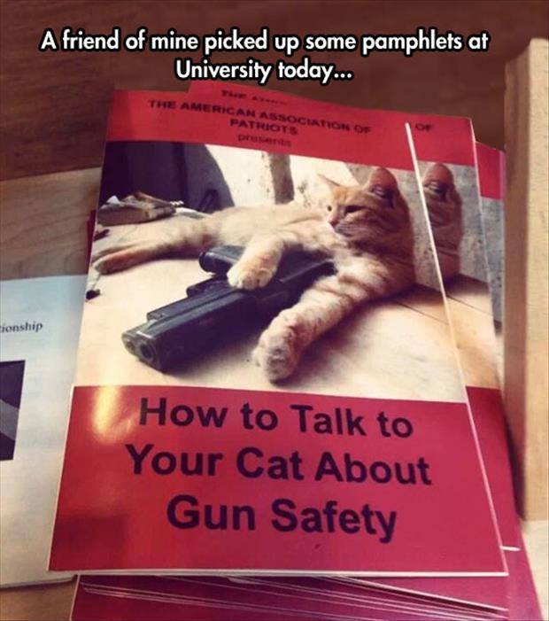 Gun Safety