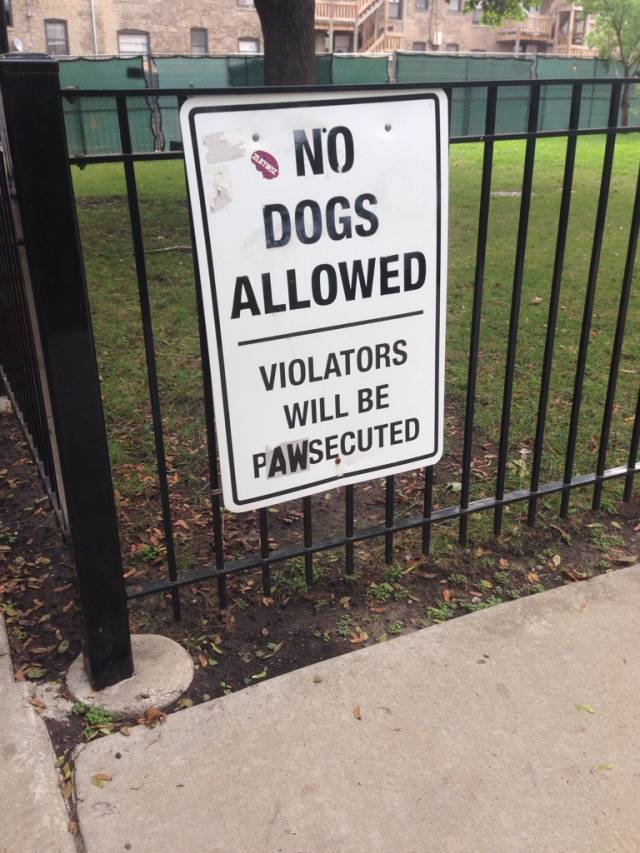No dogs allowed.