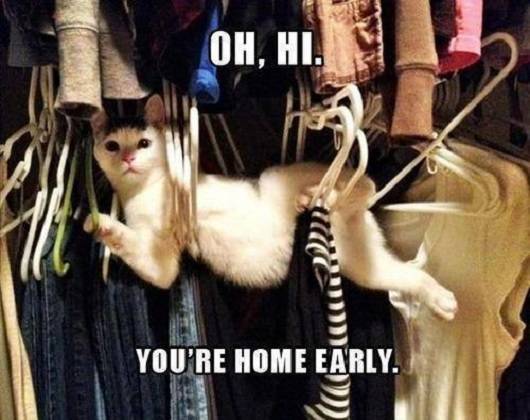 Hello! How are you?