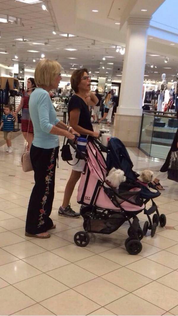 Welcome to the Scottsdale Mall