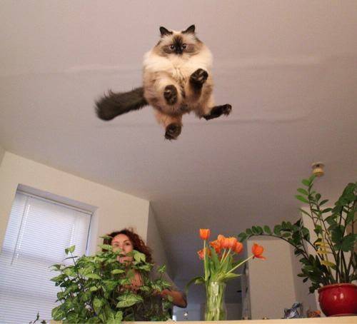 I am your god now.