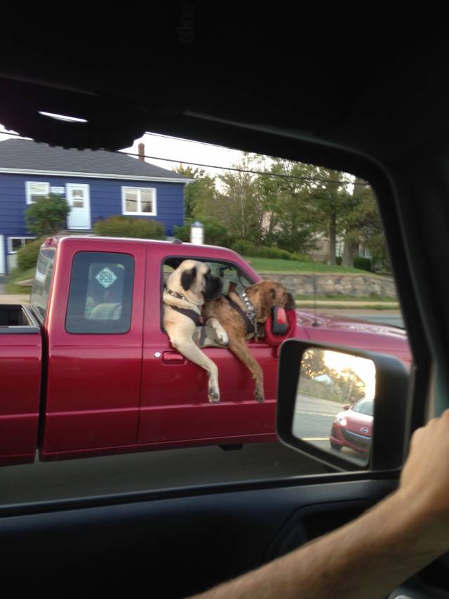 These guys drove by me yesterday, had to do a double take