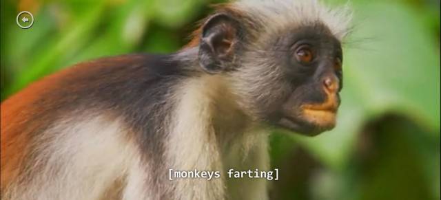 I Was Watching Netflix At Low Volume With Subtitles On So I Wouldn't Disturb My Sleeping Wife, But My Laughter Woke Her Up Anyway.