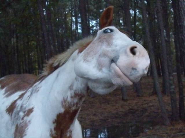 You can see me and I can see you. Mind It!