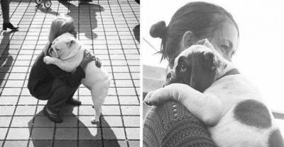 Adorable Pictures Of Dogs Sharing Love With Their Human Owners
